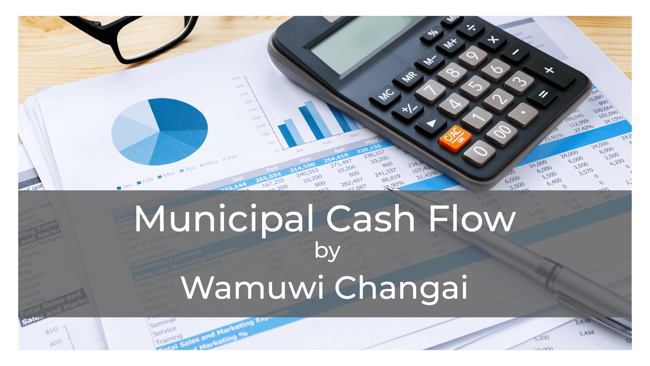 Municipal Cash Flow by Wamuwi Changai